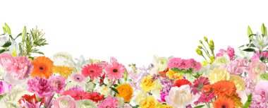 Beyaz arka planda güzel taze çiçekler