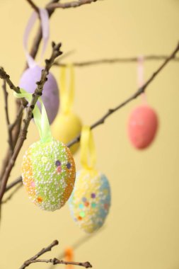 Farklı Paskalya yumurtalarının ağaç dallarında asılı olduğu kompozisyon renk arkaplanı, yakın plan
