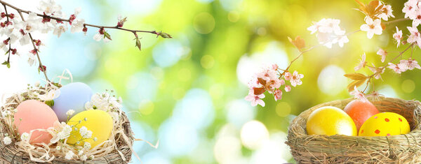 Nests with beautiful Easter eggs on blurred background with space for text