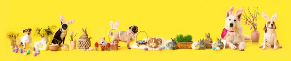 Animali Divertenti Con Orecchie Coniglio Uova Pasqua Sfondo Giallo — Foto Stock