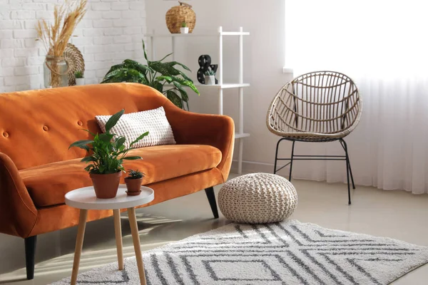 Sofá Laranja Elegante Com Plantas Sala Interior Moderno Sala Estar — Fotografia de Stock