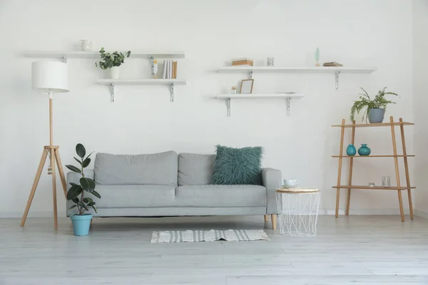 Sofá Gris Con Estilo Con Plantas Interior Interior Moderno Sala —  Fotos de Stock