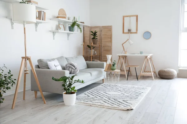 Canapé Élégant Gris Avec Plantes Intérieur Dans Intérieur Moderne Salon — Photo