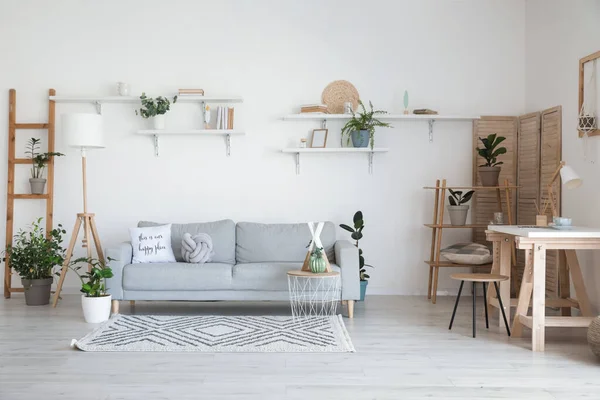 Canapé Élégant Gris Avec Plantes Intérieur Dans Intérieur Moderne Salon — Photo