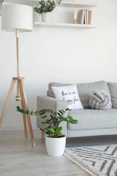 Sofá Cinza Elegante Com Lâmpada Planta Sala Interior Moderno Sala — Fotografia de Stock