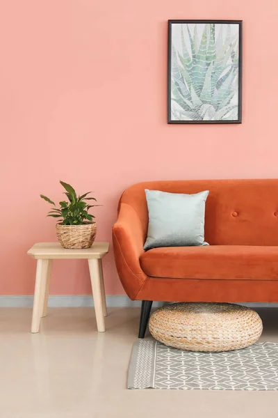 Snygg Orange Soffa Med Krukväxt Modern Inredning Vardagsrummet — Stockfoto