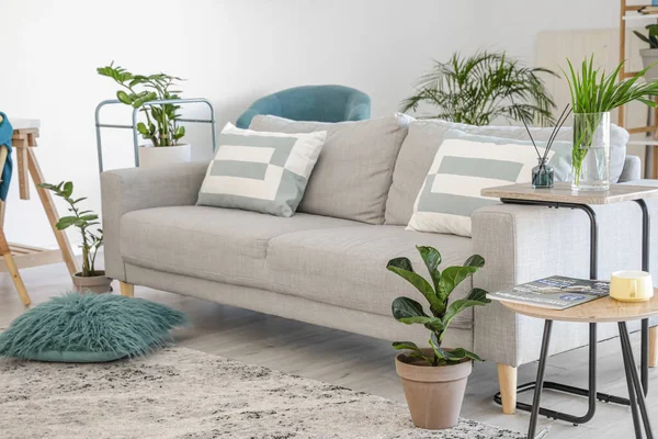 Stilvolles Graues Sofa Mit Zimmerpflanzen Modernen Wohnbereich — Stockfoto