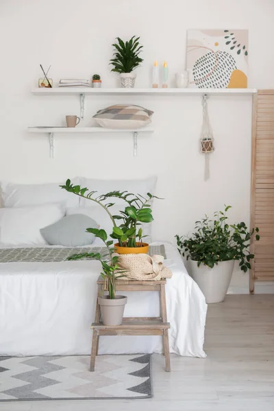 Elegante Interior Dormitorio Moderno Con Plantas Interior — Foto de Stock