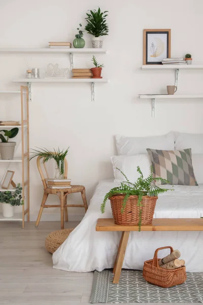 Stijlvol Interieur Van Moderne Slaapkamer Met Kamerplanten — Stockfoto