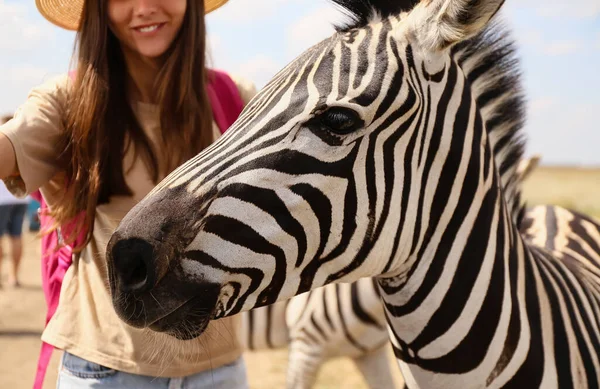 Turista Feminina Com Bela Zebra Santuário Vida Selvagem — Fotografia de Stock
