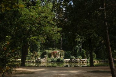 Güneşli yaz gününde güzel yeşil park