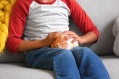 Evdeki kanepede sevimli kobay fareli küçük Afro-Amerikalı çocuk.