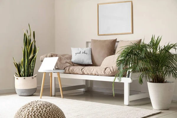 Modern Couch Table Laptop Houseplants Light Wall — Stock Photo, Image