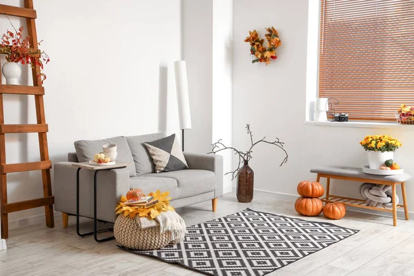 Interior Beautiful Living Room Sofa Autumn Decor — Stock Photo, Image