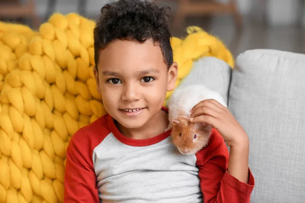 Little African American Boy Cute Guinea Pig Sofa Home — Stock Photo, Image