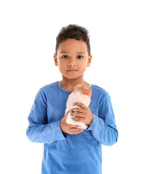 Lilla Afroamerikanska Pojken Med Söt Marsvin Isolerad Vitt — Stockfoto
