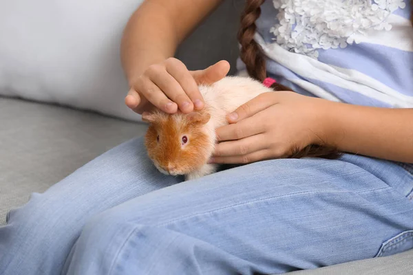 Liten Flicka Med Söt Marsvin Hemma Närbild — Stockfoto