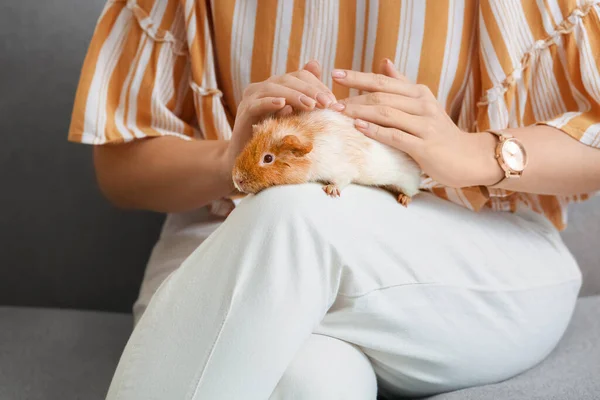 Beautiful Young Woman Cute Guinea Pig Home Closeup — Stock Photo, Image