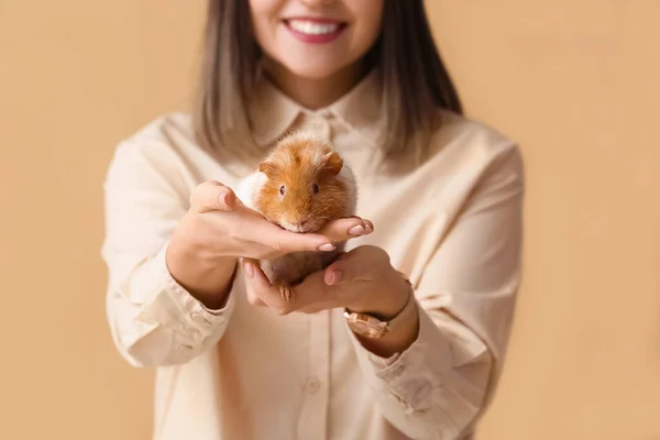 Beautiful Young Woman Cute Guinea Pig Color Background Closeup — Stock Photo, Image