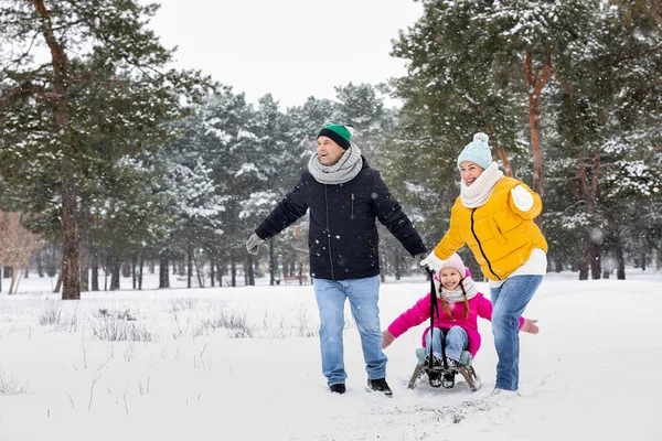 Menina Com Seus Avós Trenó Dia Inverno Nevado — Fotografia de Stock