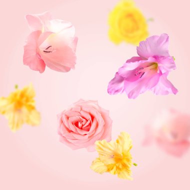 Pembe arka planda taze çiçekler uçuşuyor.