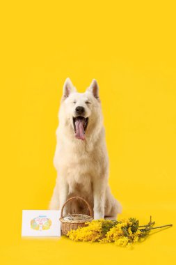 Çiçekli şirin köpek, Paskalya sepeti ve sarı arka planda tebrik kartı.