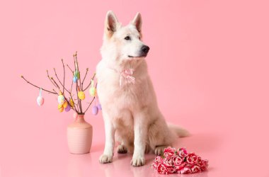 Çiçekleri olan sevimli bir köpek ve pembe arka planda Paskalya dekoru.