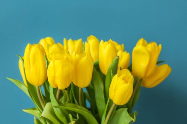 Mavi arka planda güzel laleler.