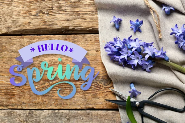 Beautiful Hyacinth Flowers Scissors Wooden Background Text Hello Spring — Stock Photo, Image