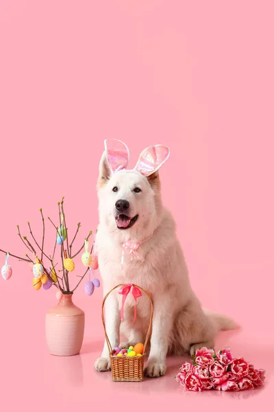 Симпатична Собака Вухами Кролика Квітами Великоднім Кошиком Рожевому Фоні — стокове фото