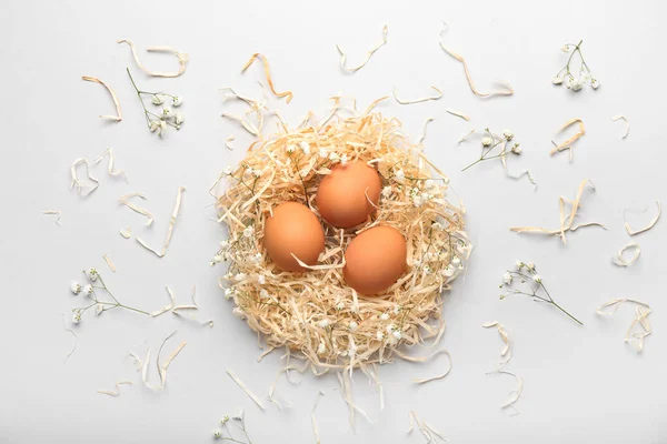 Nest Natural Easter Eggs Gypsophila Flowers White Background — Stock Photo, Image