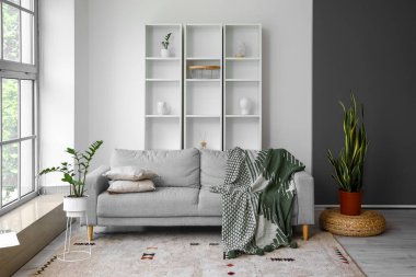 Raf ünitesi ve kanepesi olan modern bir oda.