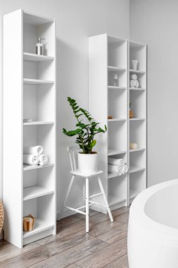 Beyaz raf üniteleri ve banyo duvarının yanındaki ev bitkisi.