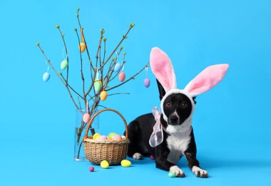 Tavşan kulaklı şirin köpek. Paskalya yumurtaları ve mavi arka planda ağaç dalları var.