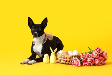 Paskalya yumurtaları, laleleri ve sarı arka planda dekoru olan şirin bir köpek.