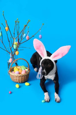 Tavşan kulaklı şirin köpek. Paskalya yumurtaları ve mavi arka planda ağaç dalları var.