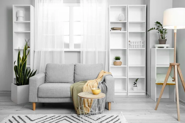 Εσωτερικό Του Light Living Room Γκρι Καναπέ Λάμπα Και Ραφιέρα — Φωτογραφία Αρχείου