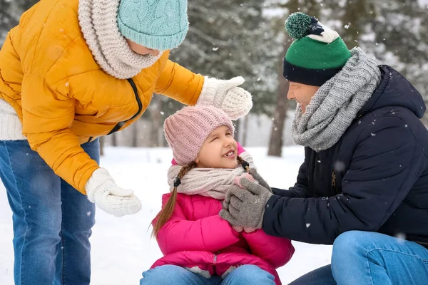 Little Girl Her Grandparents Snowy Winter Day — Stock Photo, Image