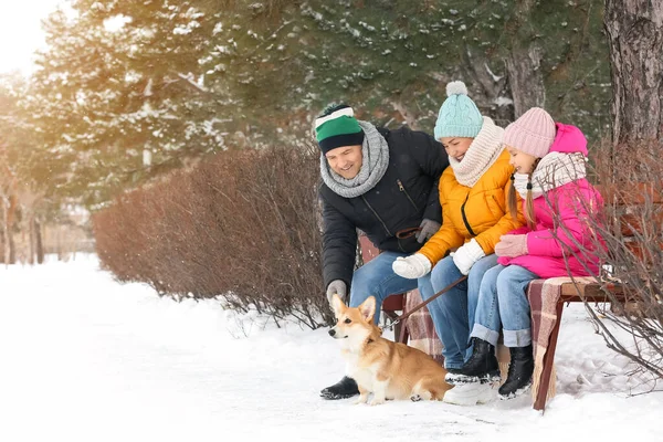 Little Girl Her Grandparents Corgi Dog Park Snowy Winter Day — Stock Photo, Image