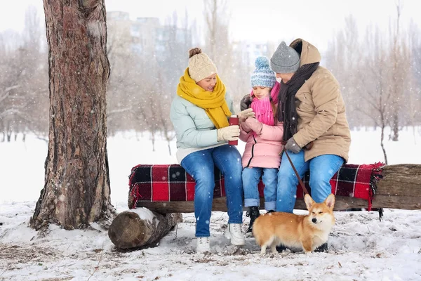 Little Girl Her Grandparents Thermos Corgi Dog Park Snowy Winter — Stock Photo, Image