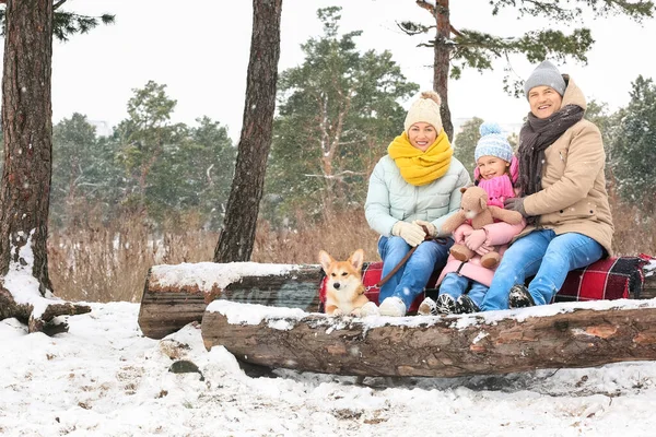 冬天下雪天 森林里带着玩具的小女孩 她的祖父母和科吉狗 — 图库照片