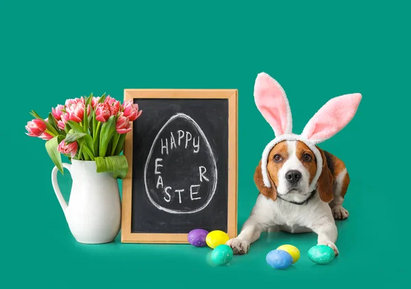 有趣的小猎犬 粉笔板与文字Happy吃东西 郁金香在花瓶和蛋绿色背景 — 图库照片