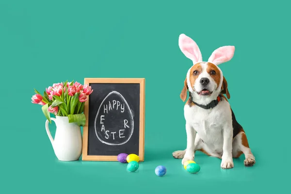Komik Beagle Köpeği Tebeşirle Yazı Tahtası Mutlu Paskalya Vazoda Laleler — Stok fotoğraf