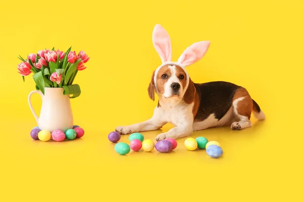 Tavşan Kulaklı Komik Köpeği Sarı Arka Planda Paskalya Yumurtaları Laleler — Stok fotoğraf