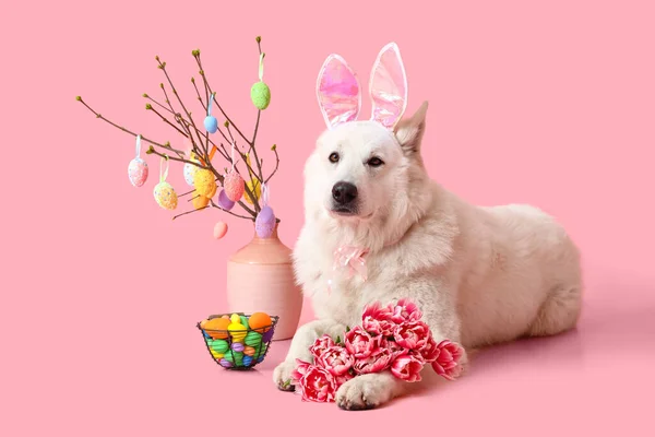 可爱的狗 有小兔子耳朵 花朵和粉色背景的复活节篮子 — 图库照片