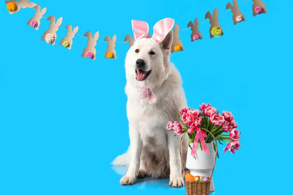 Chien Mignon Avec Oreilles Lapin Fleurs Panier Pâques Sur Fond — Photo