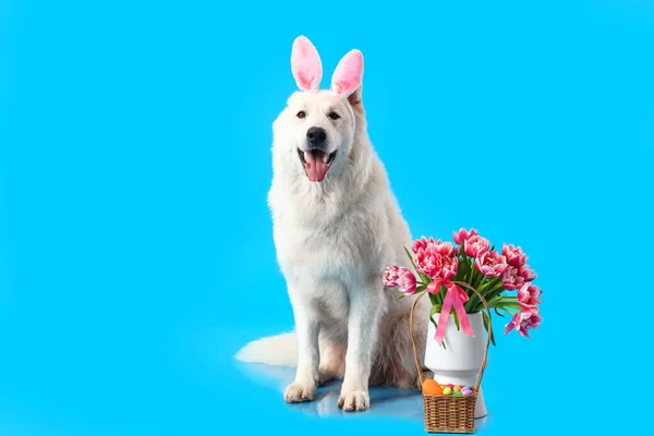 可爱的狗 有小兔子耳朵 花朵和蓝色背景的复活节篮子 — 图库照片