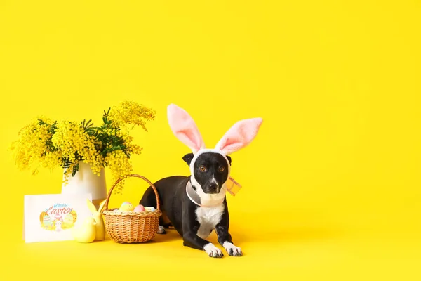可爱的狗 有复活节彩蛋 花瓶里有油花 黄色背景的贺卡 — 图库照片