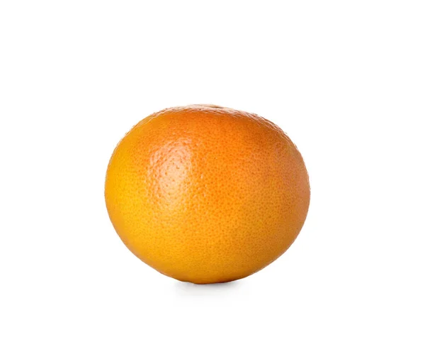 Toranja Inteira Fresca Sobre Fundo Branco — Fotografia de Stock