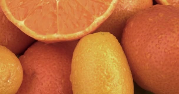 Fruits Frais Mûrs Différents Gros Plan — Video